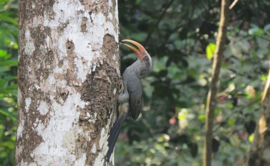 IMG_3759_06-1-555x341