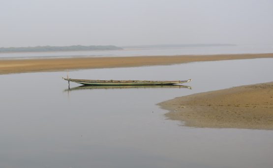 MY TELEPHOTO EXPERIENCE